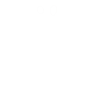Logo colores